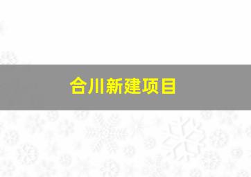 合川新建项目