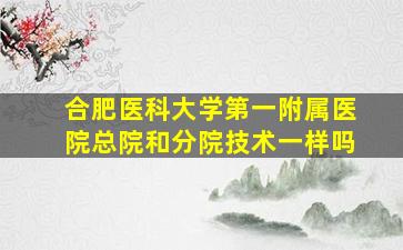 合肥医科大学第一附属医院总院和分院技术一样吗