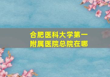 合肥医科大学第一附属医院总院在哪