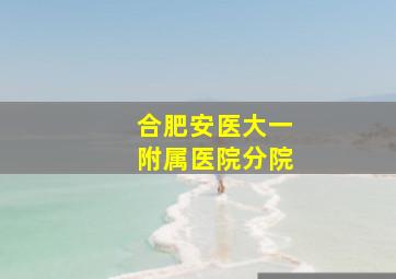 合肥安医大一附属医院分院