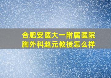 合肥安医大一附属医院胸外科赵元教授怎么样