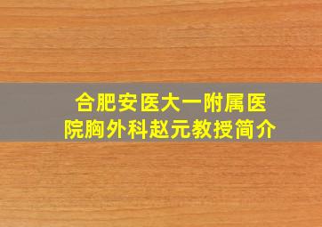 合肥安医大一附属医院胸外科赵元教授简介