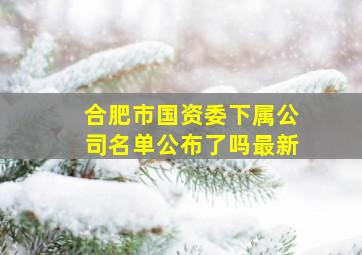 合肥市国资委下属公司名单公布了吗最新