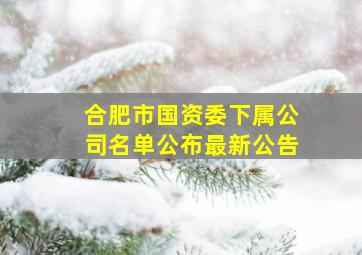 合肥市国资委下属公司名单公布最新公告