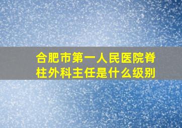 合肥市第一人民医院脊柱外科主任是什么级别