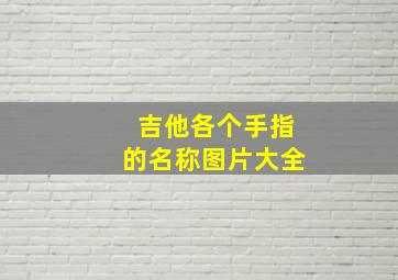 吉他各个手指的名称图片大全