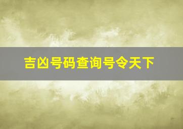 吉凶号码查询号令天下