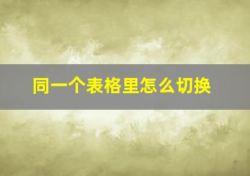 同一个表格里怎么切换