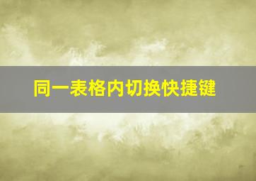 同一表格内切换快捷键