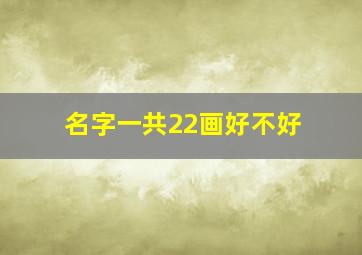 名字一共22画好不好