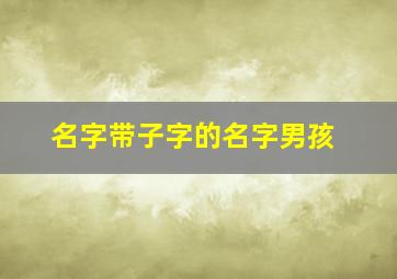 名字带子字的名字男孩