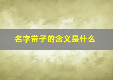 名字带子的含义是什么