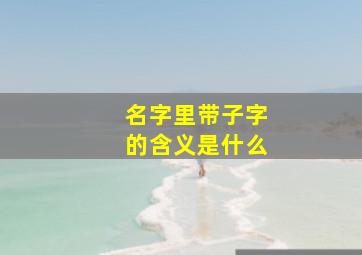 名字里带子字的含义是什么