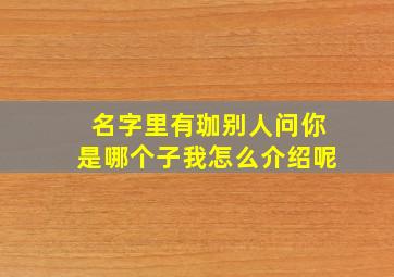 名字里有珈别人问你是哪个子我怎么介绍呢