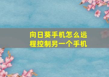 向日葵手机怎么远程控制另一个手机