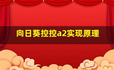 向日葵控控a2实现原理