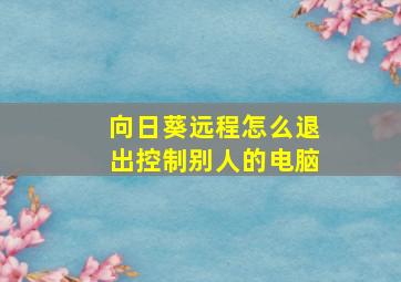 向日葵远程怎么退出控制别人的电脑