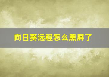 向日葵远程怎么黑屏了