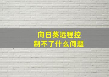 向日葵远程控制不了什么问题