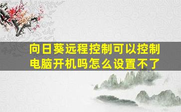 向日葵远程控制可以控制电脑开机吗怎么设置不了