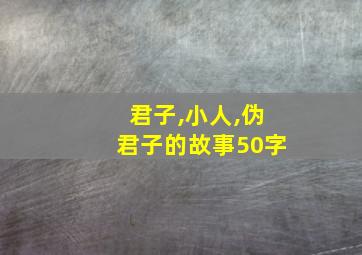 君子,小人,伪君子的故事50字