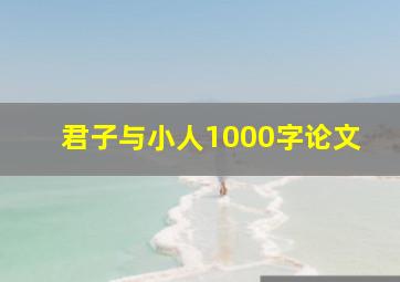 君子与小人1000字论文