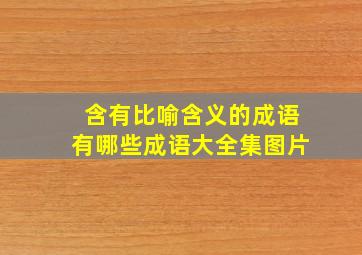 含有比喻含义的成语有哪些成语大全集图片