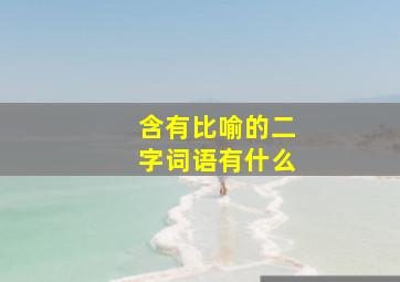 含有比喻的二字词语有什么