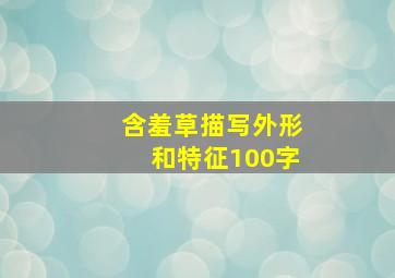 含羞草描写外形和特征100字