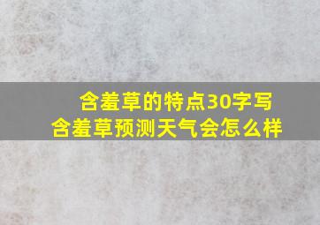 含羞草的特点30字写含羞草预测天气会怎么样