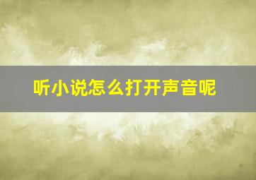 听小说怎么打开声音呢