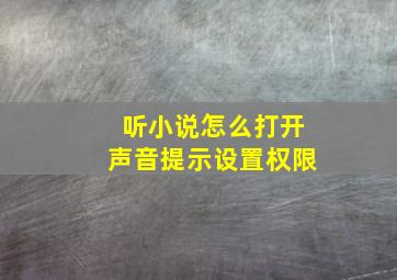 听小说怎么打开声音提示设置权限