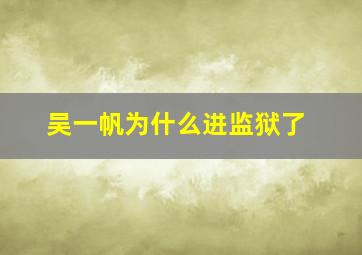 吴一帆为什么进监狱了