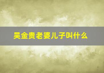 吴金贵老婆儿子叫什么