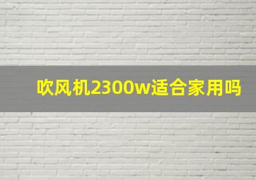 吹风机2300w适合家用吗