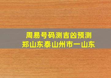 周易号码测吉凶预测郑山东泰山州市一山东