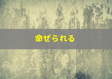 命ぜられる