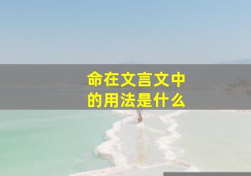 命在文言文中的用法是什么