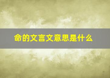 命的文言文意思是什么