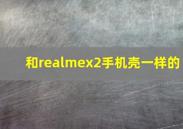 和realmex2手机壳一样的