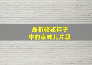 品析骆驼祥子中的京味儿片段