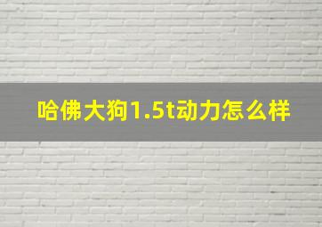 哈佛大狗1.5t动力怎么样