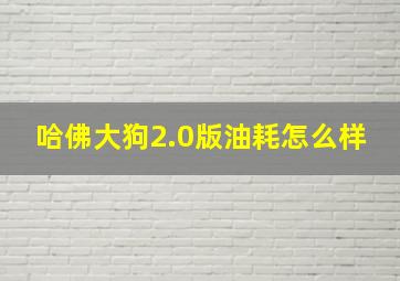 哈佛大狗2.0版油耗怎么样