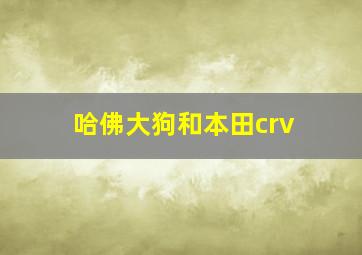 哈佛大狗和本田crv