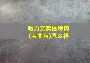 哈力买卖提烤肉(韦曲店)怎么样