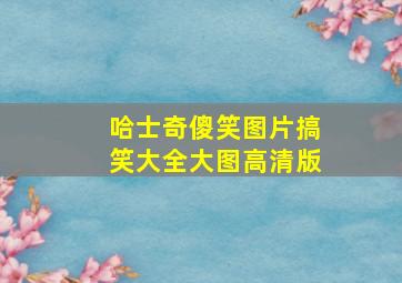 哈士奇傻笑图片搞笑大全大图高清版