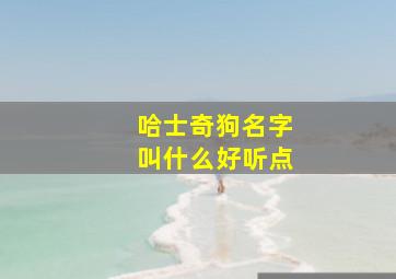 哈士奇狗名字叫什么好听点