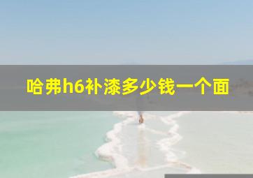 哈弗h6补漆多少钱一个面