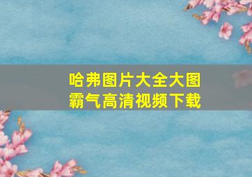 哈弗图片大全大图霸气高清视频下载