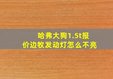 哈弗大狗1.5t报价边牧发动灯怎么不亮